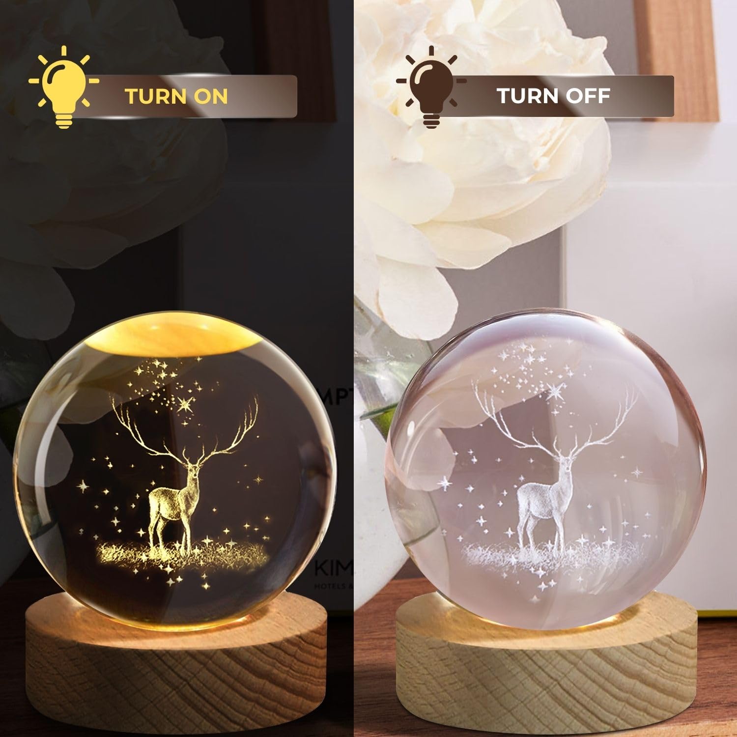 Crystal Globe Night Lamp | 3D Engraved LED Light with Wooden Base